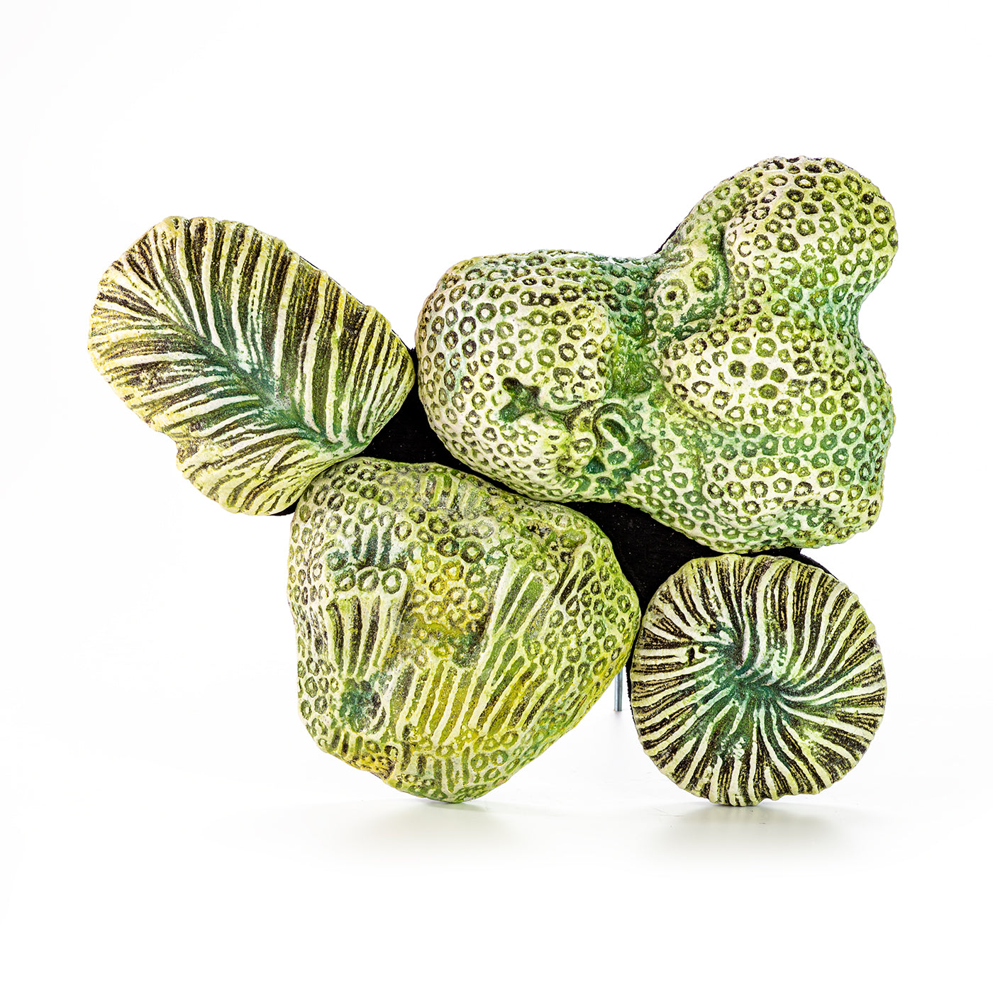 Hand painted ceramic wall decoration depicting marine coral elements in green color.
