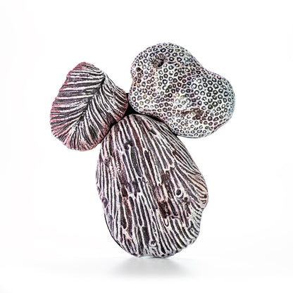 Hand painted ceramic wall decoration depicting marine coral elements in rose ash color.