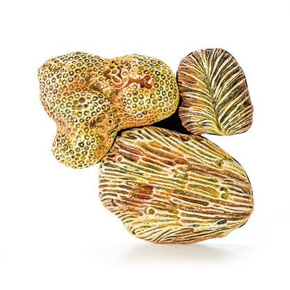 Hand painted ceramic coral elements in pastel yellow tones, with a textured surface.