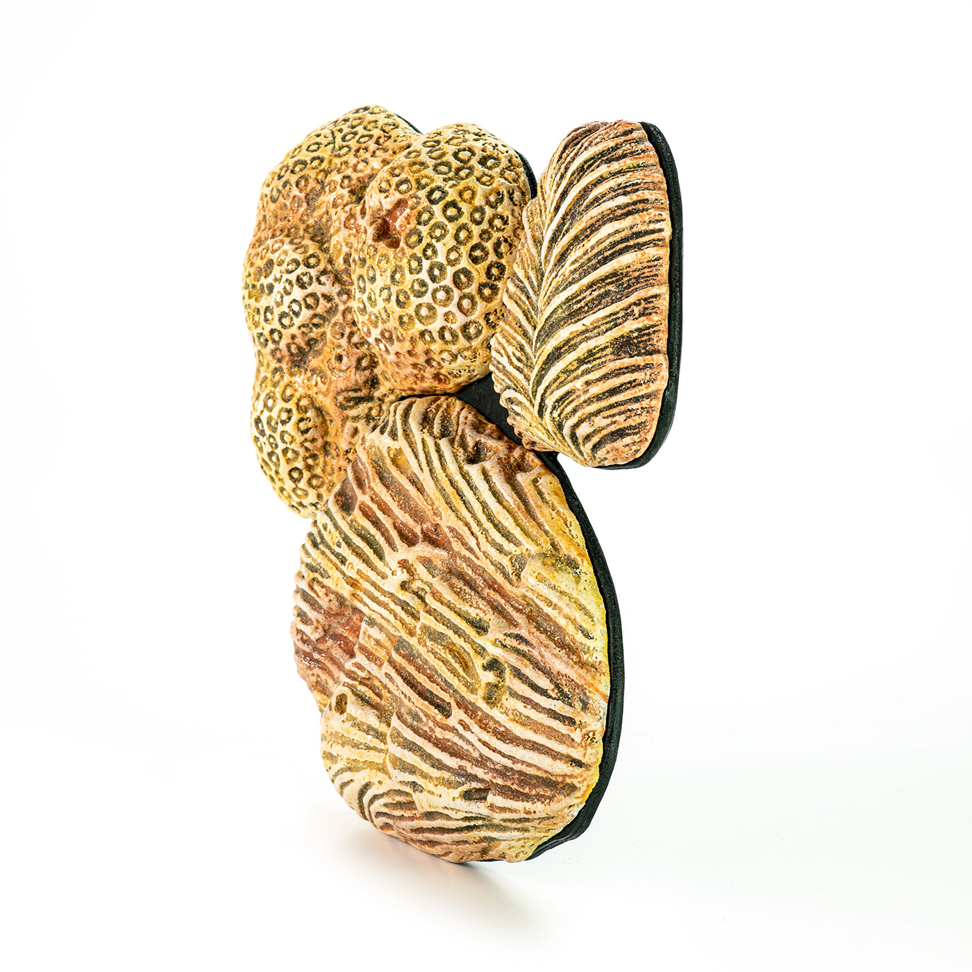 Hand painted ceramic coral elements in pastel yellow tones, with a textured surface.