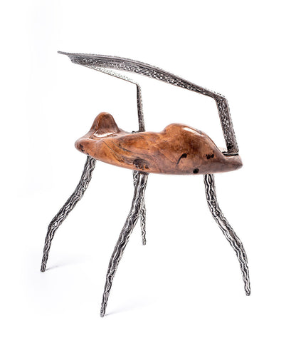 An artistically designed dining chair with a glossy finish on a white background. The chair features a teak wood seat and stainless steel legs with a relief longitudinal structure. Beck-side view. 